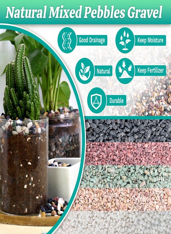 AVALUTION Aquarium Gravel for Plants -7lb Fish Tank Gravel for Succulent Cactus & Bonsai, 1/4Inch Decorative River Rocks Pebbles for Gardening, Flower Pots, Landscaping, Terrarium - Image 2
